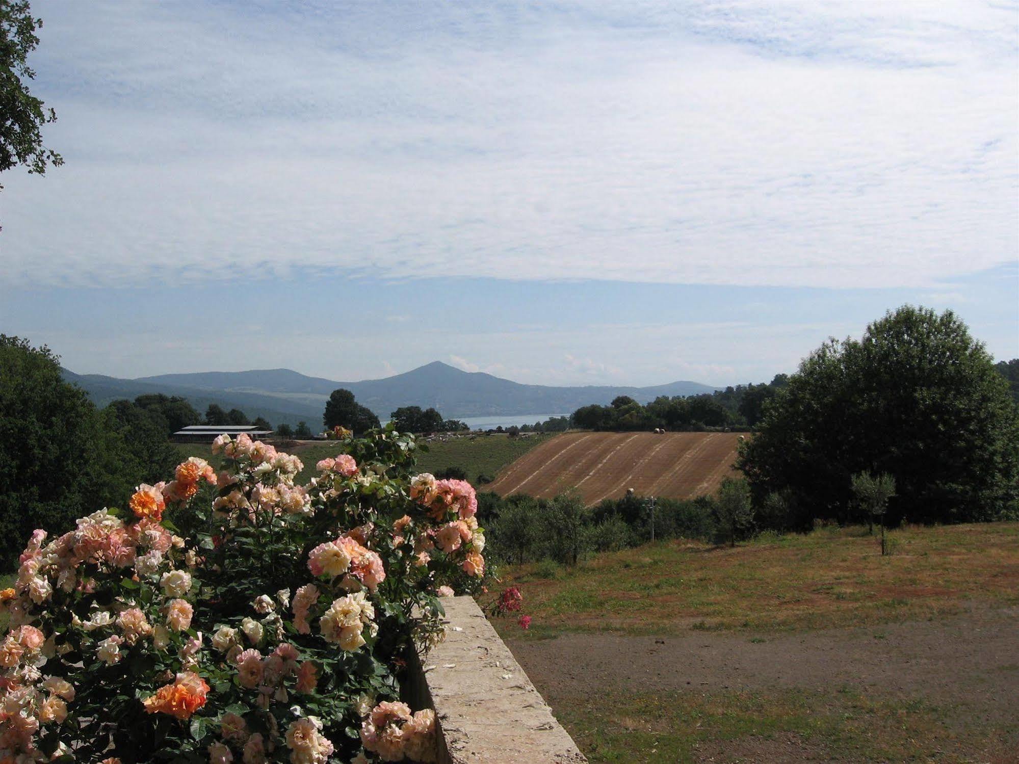 Agriturismo La Gismonda Bracciano  Dış mekan fotoğraf